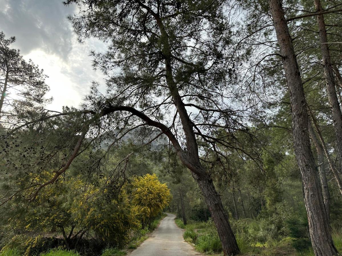 Naturella Apart Hotel Kemer Zewnętrze zdjęcie