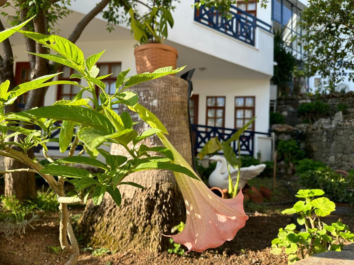 Naturella Apart Hotel Kemer Zewnętrze zdjęcie