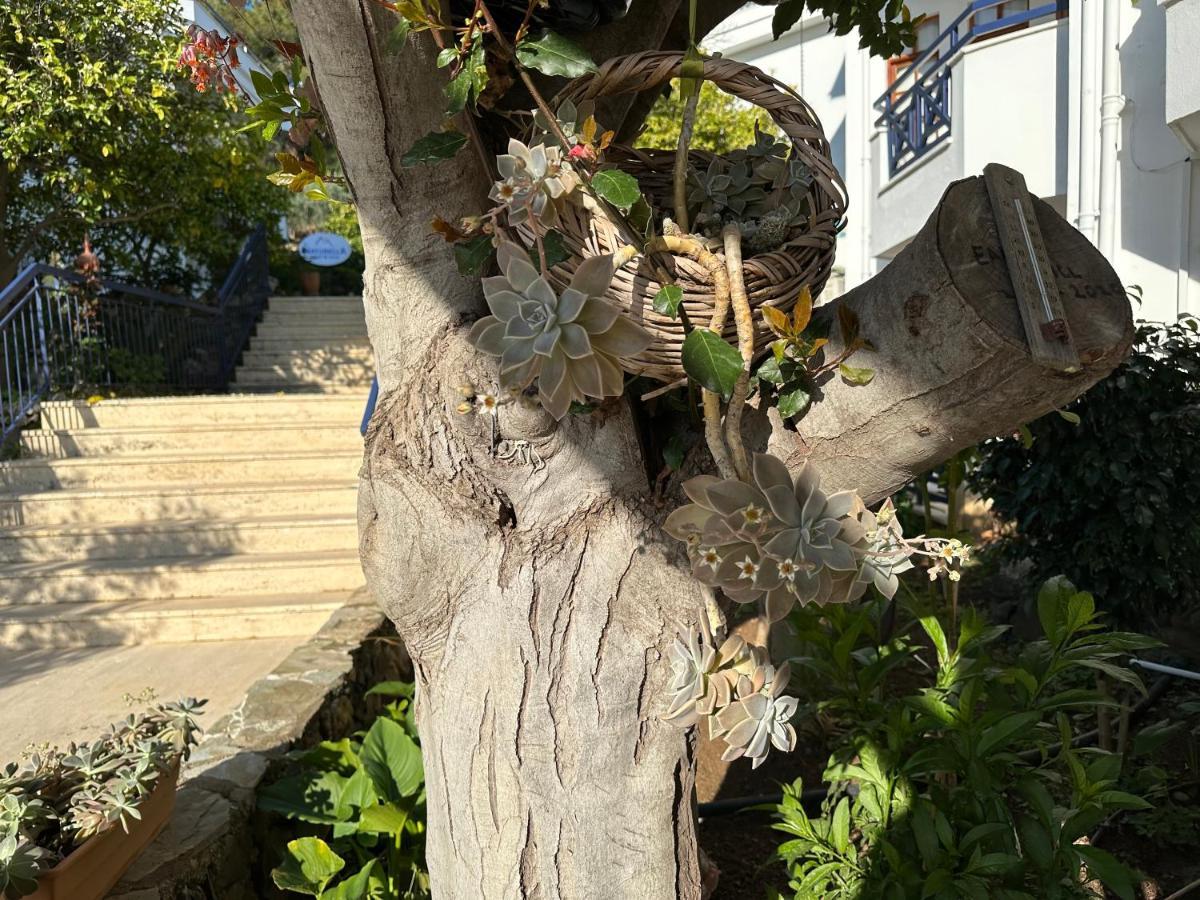 Naturella Apart Hotel Kemer Zewnętrze zdjęcie